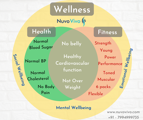 The Interrelation Between Fitness, Health, and Wellness