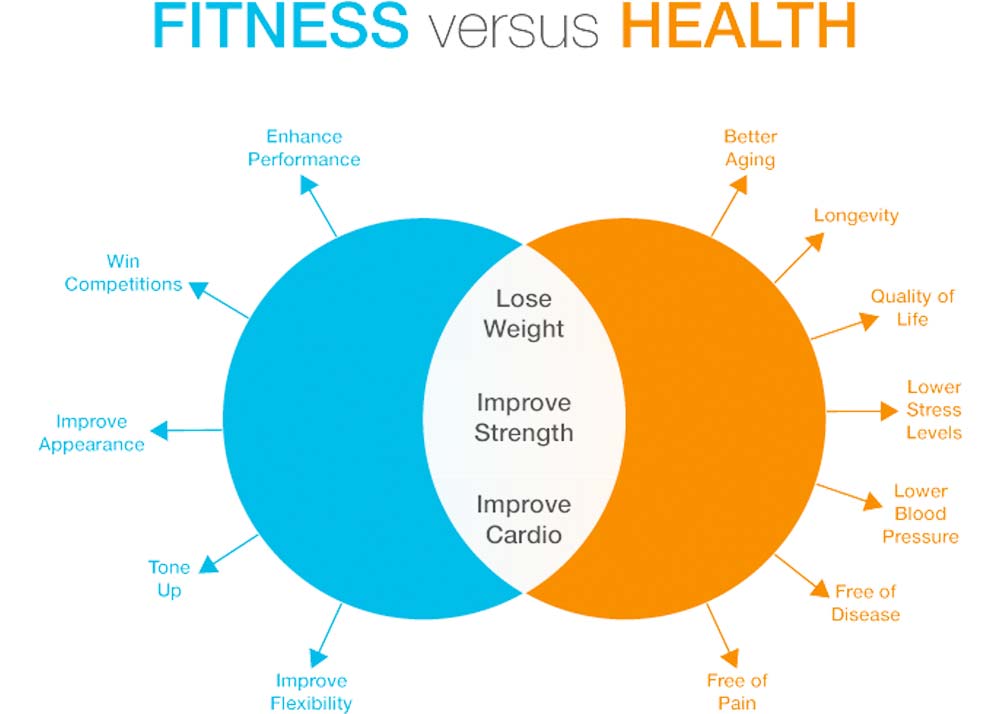 The Interrelation Between Fitness, Health, and Wellness